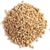 Hulled Barley