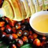 Refined Palm Oil