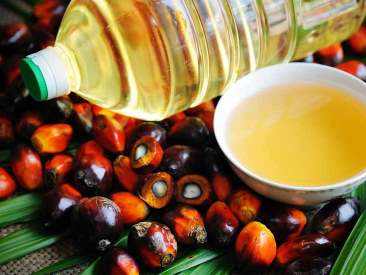 Refined Palm Oil